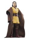 Star Wars The Black Series Jedi Master Sol Collectible Action Figure (6”)