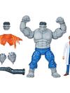 Hasbro Marvel Legends Series Gray Hulk and Dr. Bruce Banner, 6 Inch Action Figures