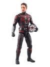 Hasbro Marvel Legends Series Ant-Man Action Figures (6”)