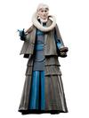 Star Wars The Black Series Bib Fortuna Action Figures (6”)